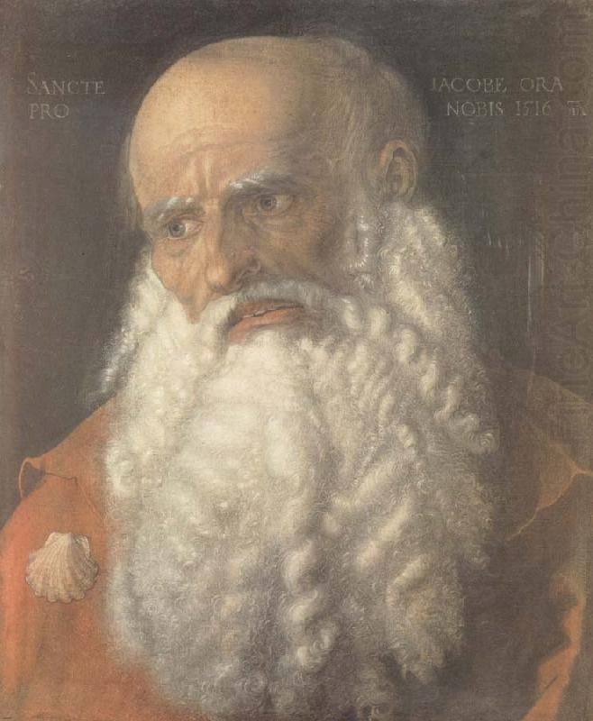 Head of the Apostle james, Albrecht Durer